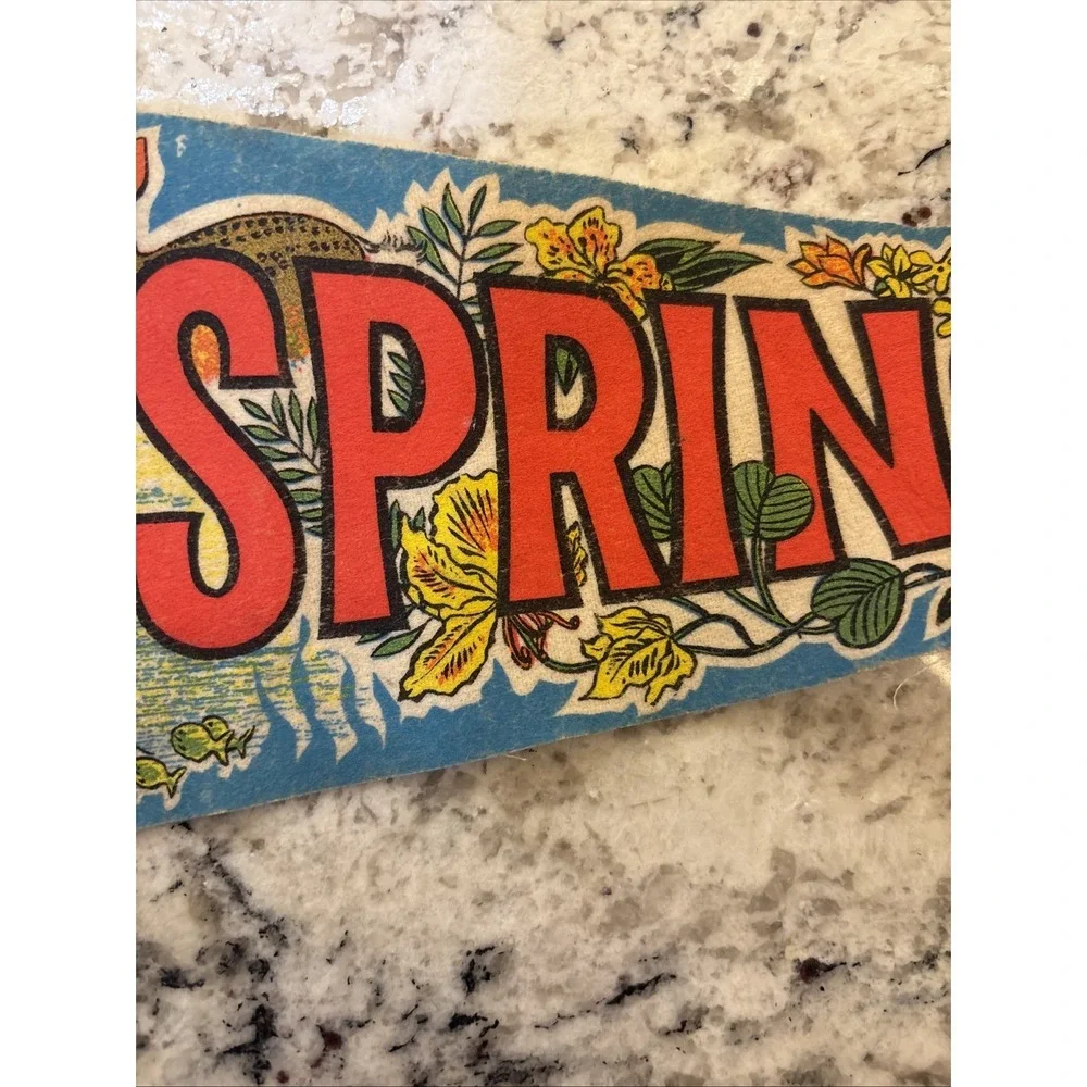 Vintage Green Felt Silver Springs Florida Neon Boat Ride Ocala Pennant Flag